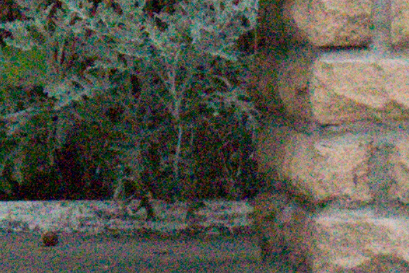 Sony Alpha a6000. RAW-формат, ISO 6400, 100-увеличение