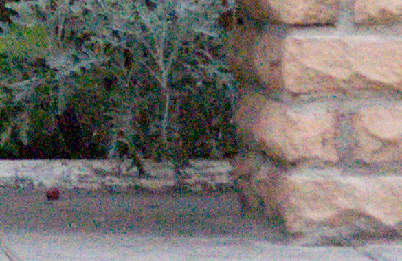 Samsung NX30. RAW-формат, ISO 6400, 100-увеличение