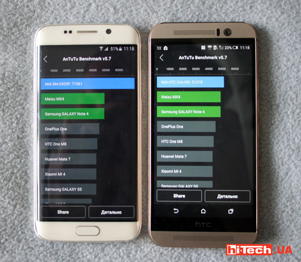 Немного попугаев флагманов