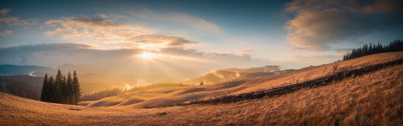 Wikipedia-Золоті_полонини_Карпат