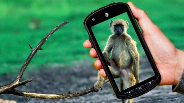 Kyocera DuraForce Pro 3