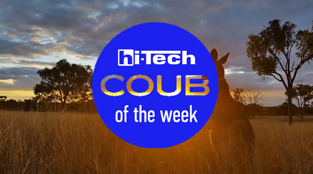 coub com ht-ua best 4-02-17