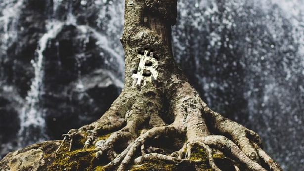 bitcoin Taproot