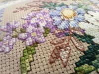 photos by Tecno Spark 20 Pro Plus