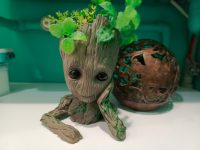 photos by Tecno Spark 20 Pro Plus