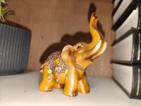 photo by oppo reno14