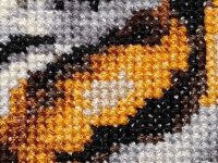 photo by oppo reno14